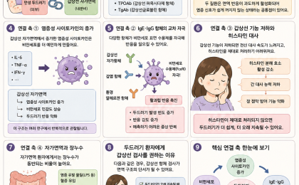 두드러기와 갑상선, 전혀 다른 질환인데 왜 함께 나타날까?